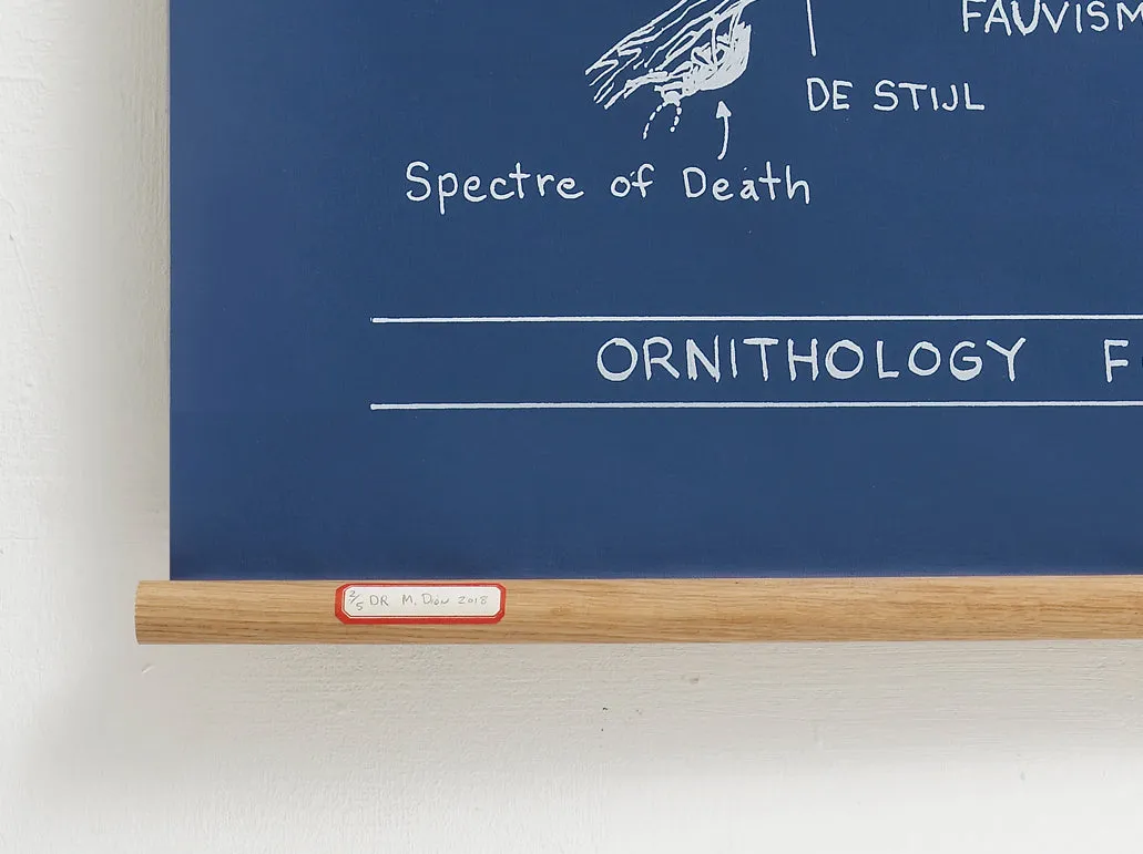 Mark Dion | Ornithology For Birds (2018)